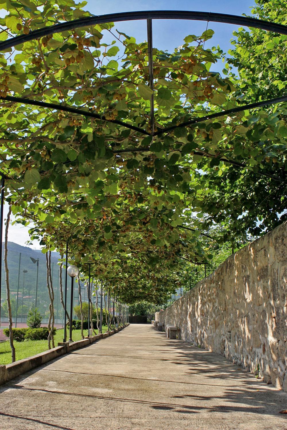 Hotel Boavista I Melgaço エクステリア 写真